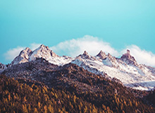 费德勒确认退出2021年澳网 两大纪录拱手让人?