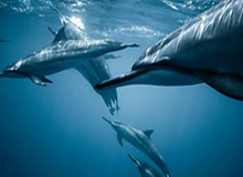 【早报】梅西专访：从哆啦A梦聊到转会离队